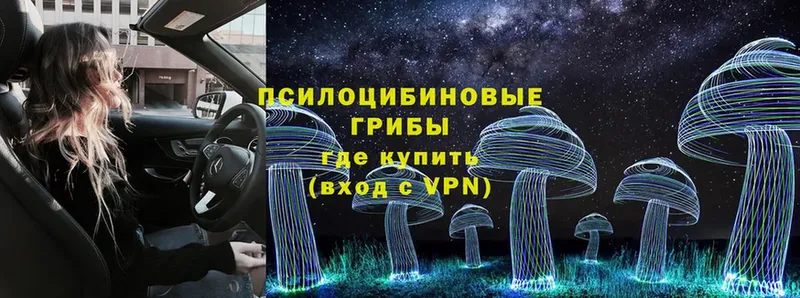 Псилоцибиновые грибы Cubensis  дарнет шоп  Иланский 